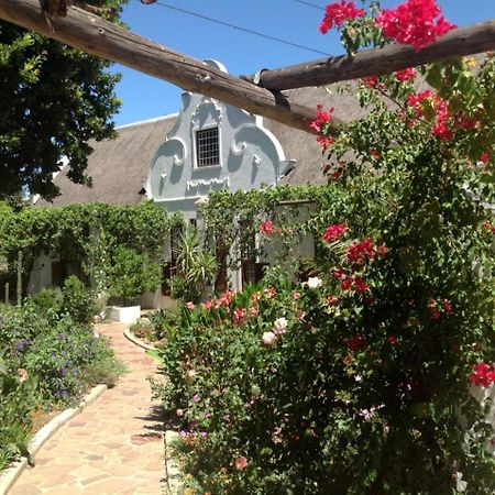 Hotel Wittedrift Manor House à Tulbagh Extérieur photo