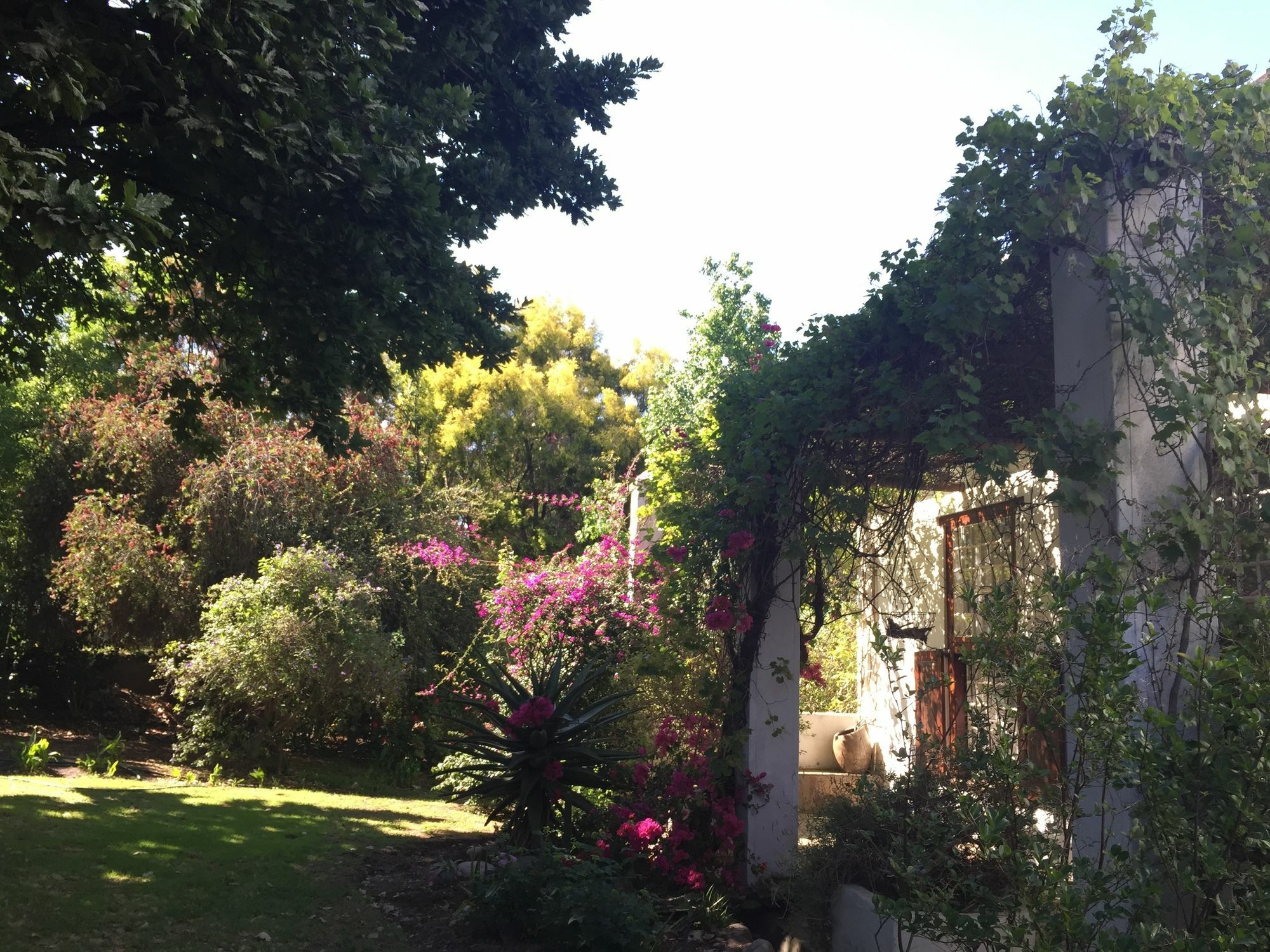 Hotel Wittedrift Manor House à Tulbagh Extérieur photo
